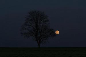 Eine besondere Mondfinsternis steht an